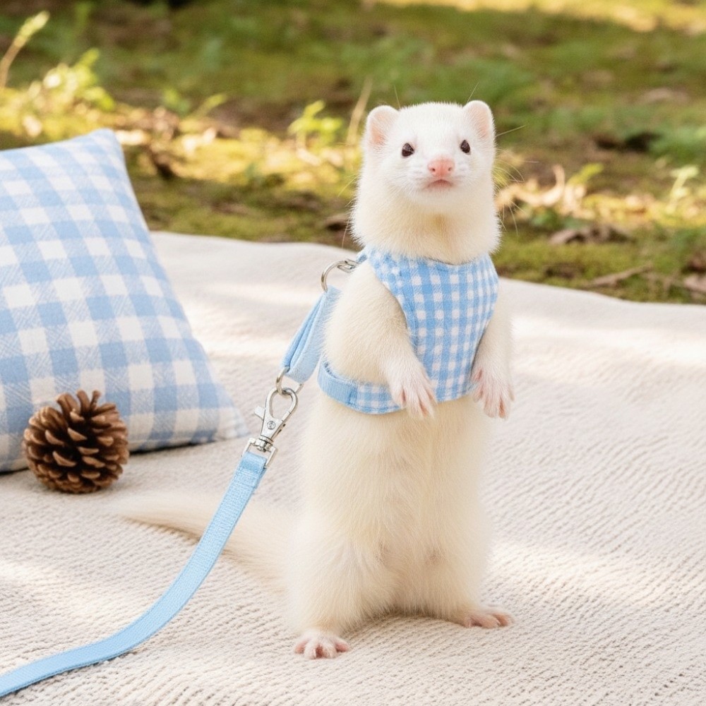 Plaid Ferret Escape-Proof Harn - đánh giá và giá D Ring Strap